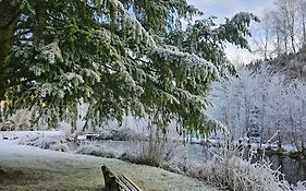 Ferienwohnung Tannenballett im Schwarzwald